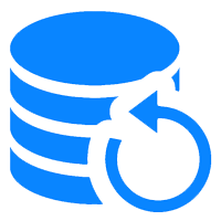 Microsoft License